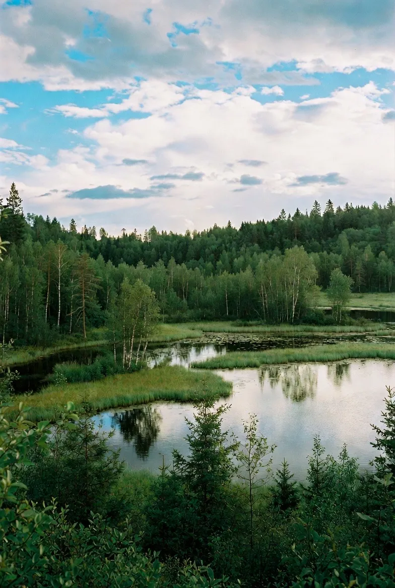 Karelia landscape 7